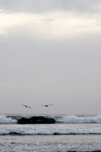 IMG3_5352