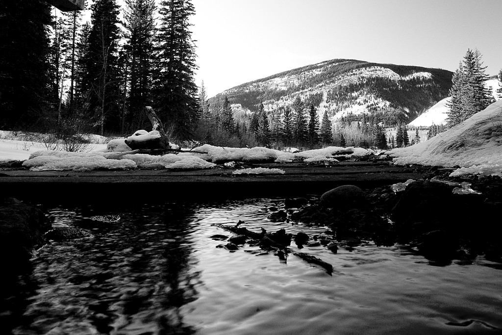 4224349196_d50754db1f_b
